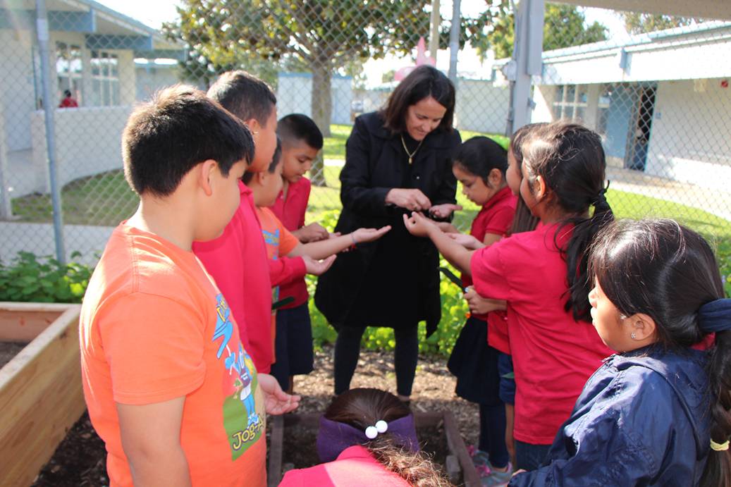 Whitter Elementary_LisaTupman_seeds