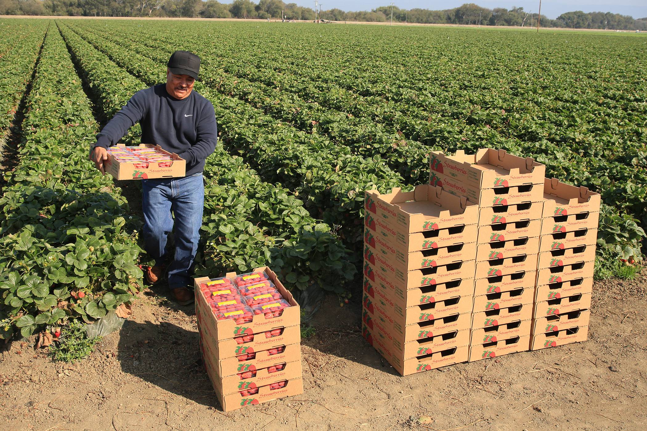 SP Packaging in the Field