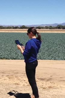 08 field assessment-sm