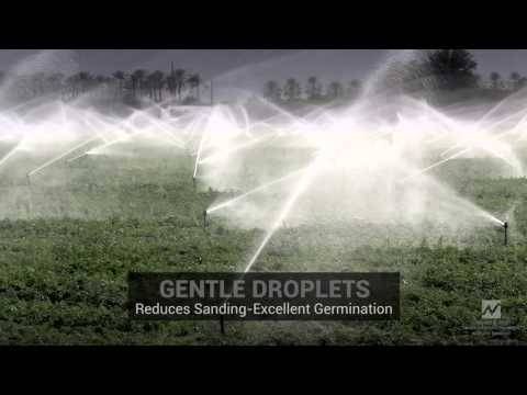 NelsonIrrigation droplets