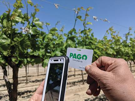 18 Pago Badge photo-sm