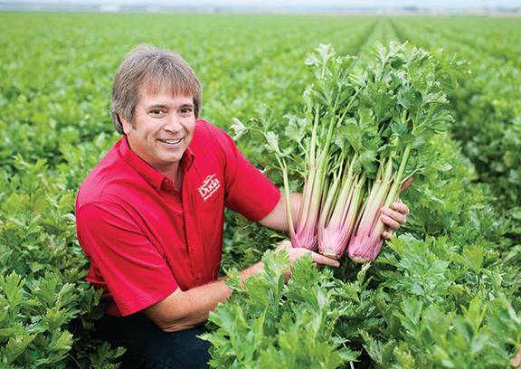 12 Duda Farm Fresh Foods’ Red Celery is grown from an heirloom seed variety that Duda’s researchers developed for nearly 20 years