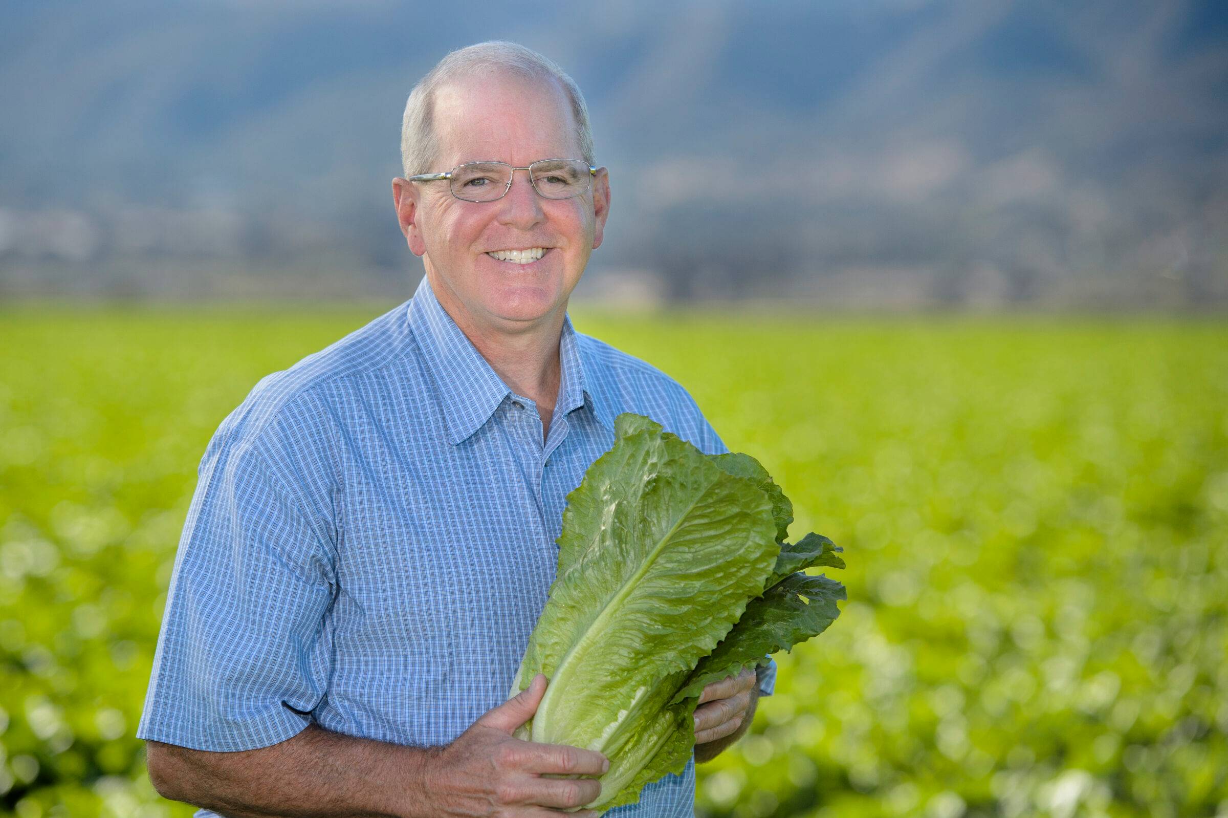 John D'Arrigo Romaine Shot