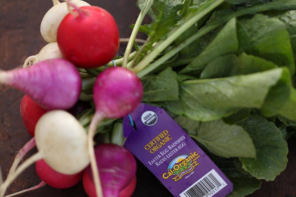 Radish
