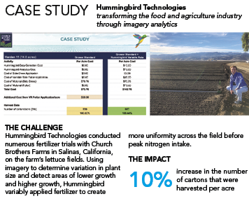 Hummingbird Case Study