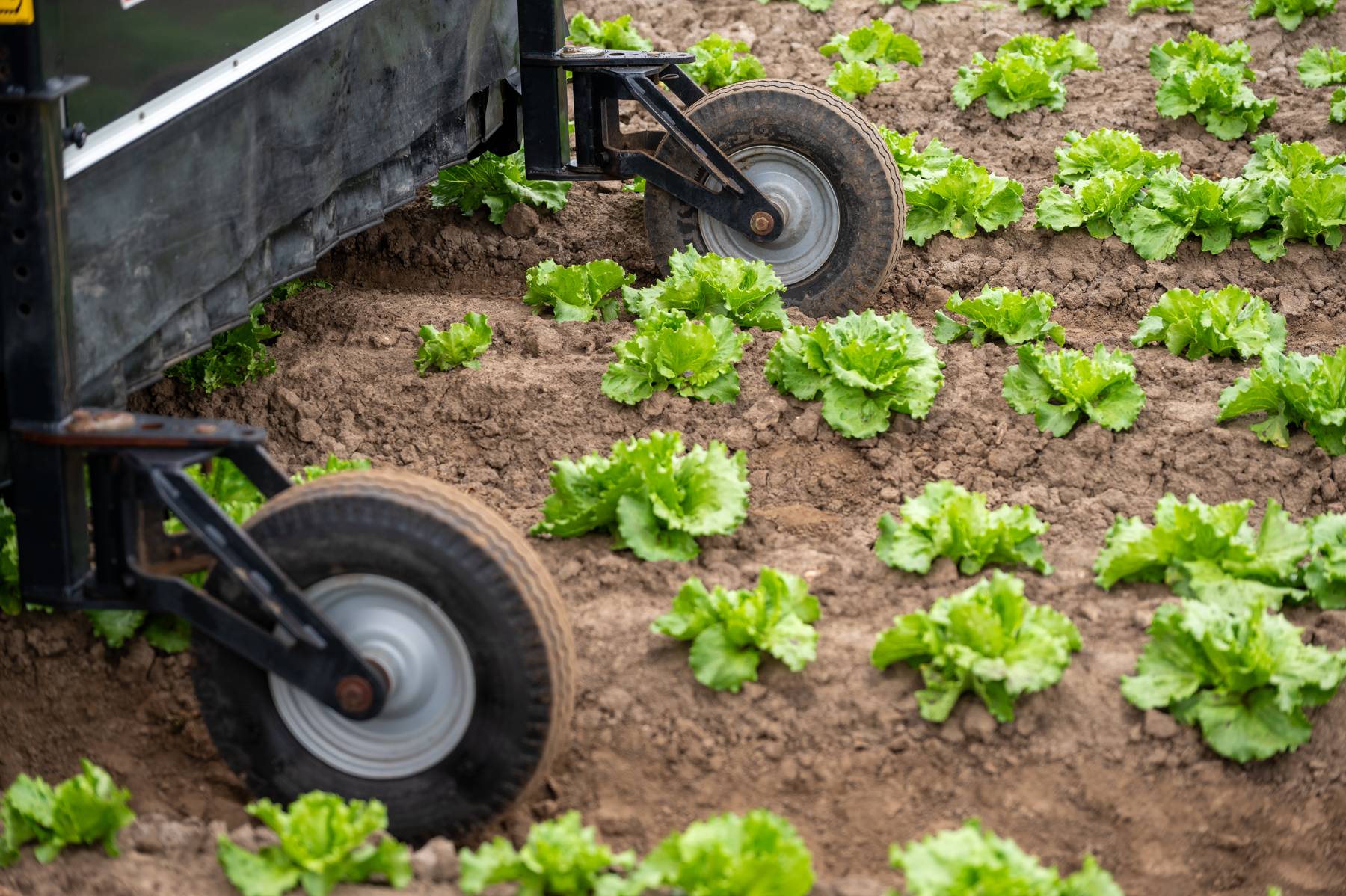 agtech-toolkit-recourses-image